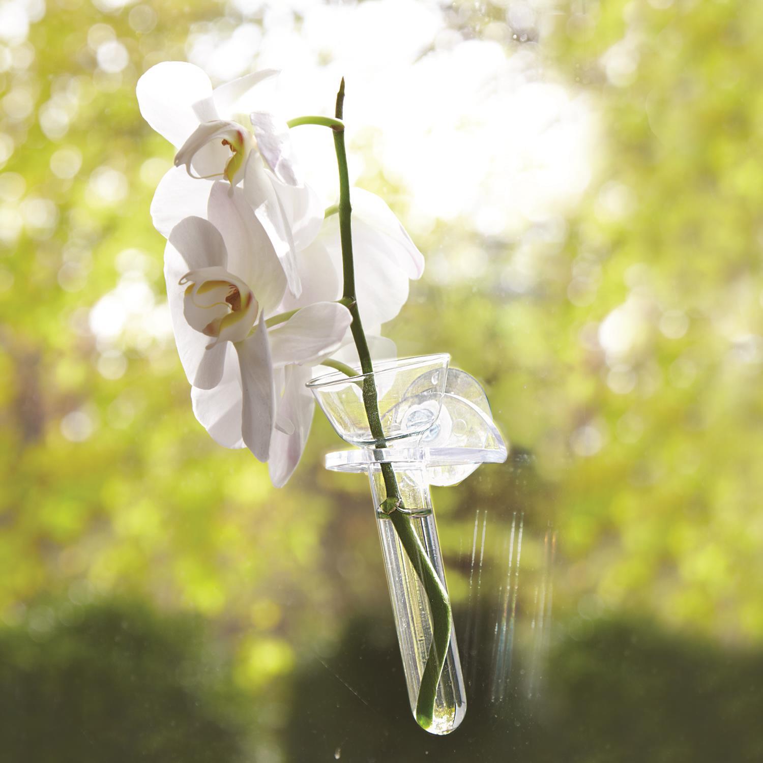 Wall Flower Vase In Gift Box