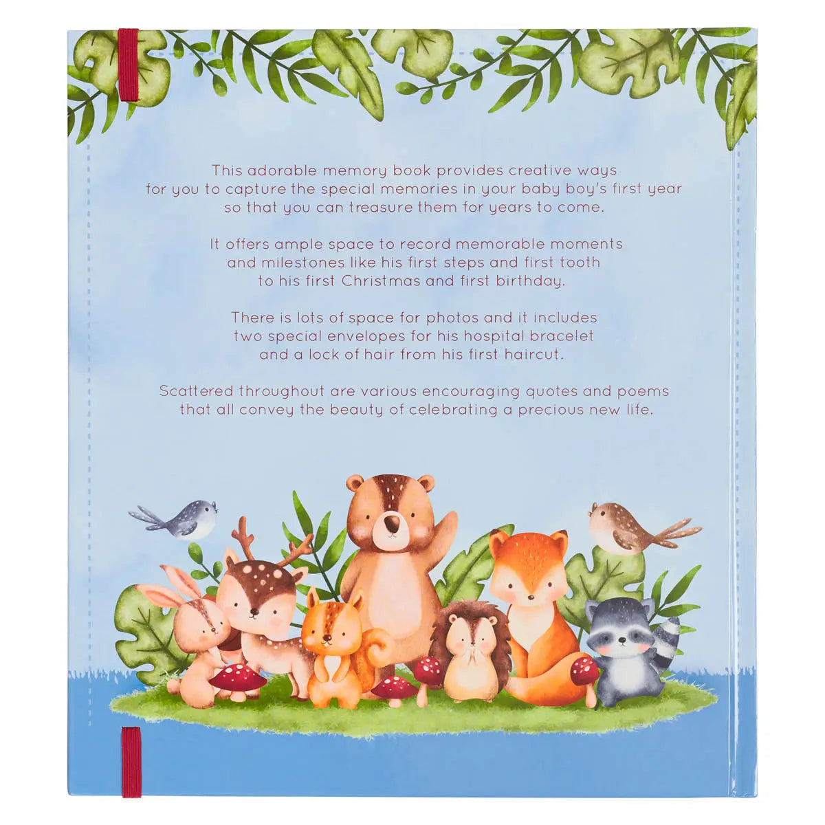 Baby Memory Book | Boys